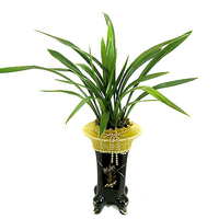 금화산 상품이미지